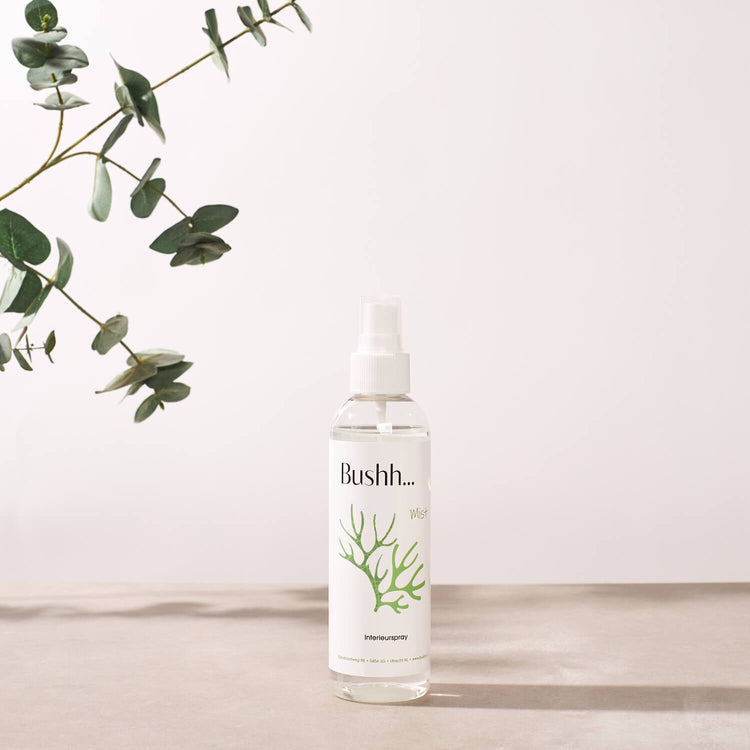 Mist - interieurspray